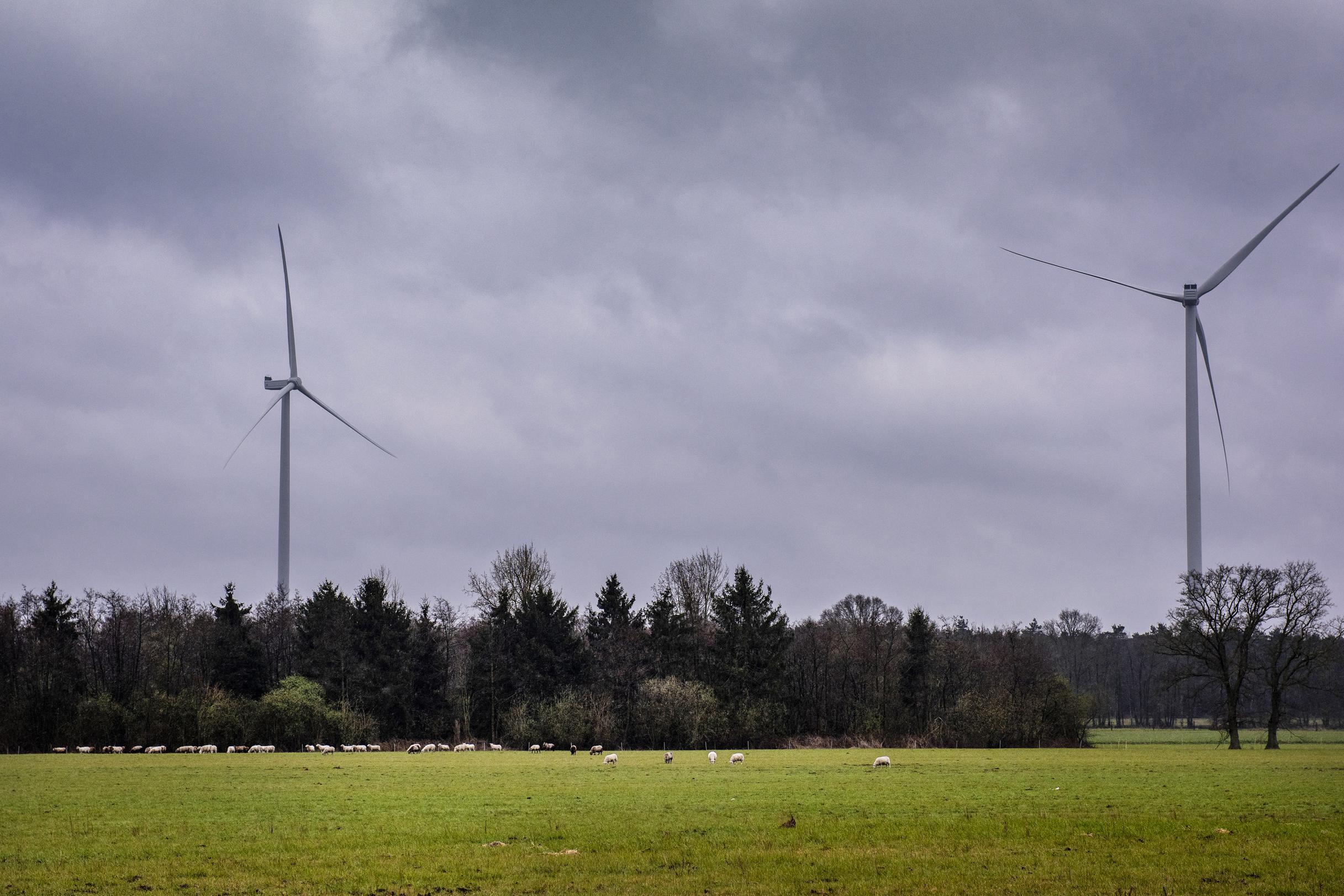 Wethouder van Roerdalen doet omstreden uitspraak over windpark in Montfort, maar ze heeft wél een pu